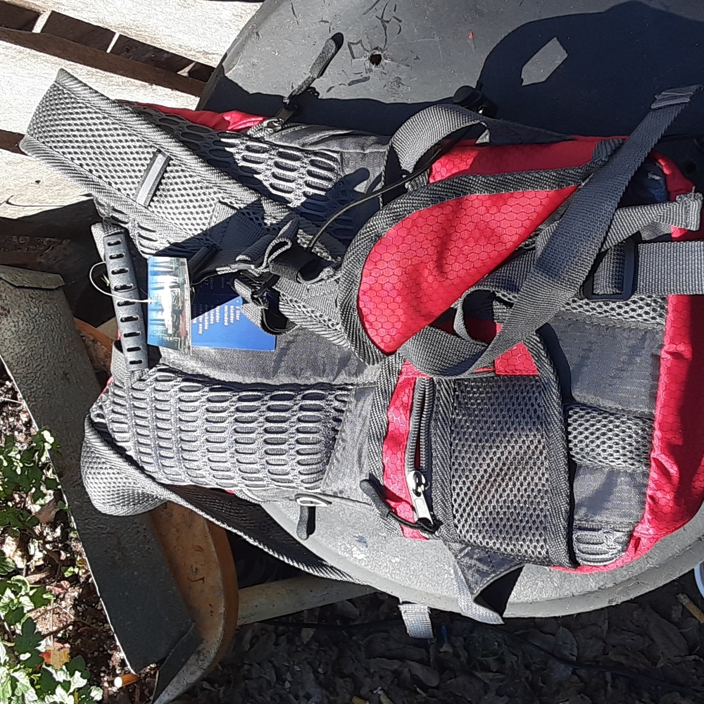 Backpack - Picture 4 of 4